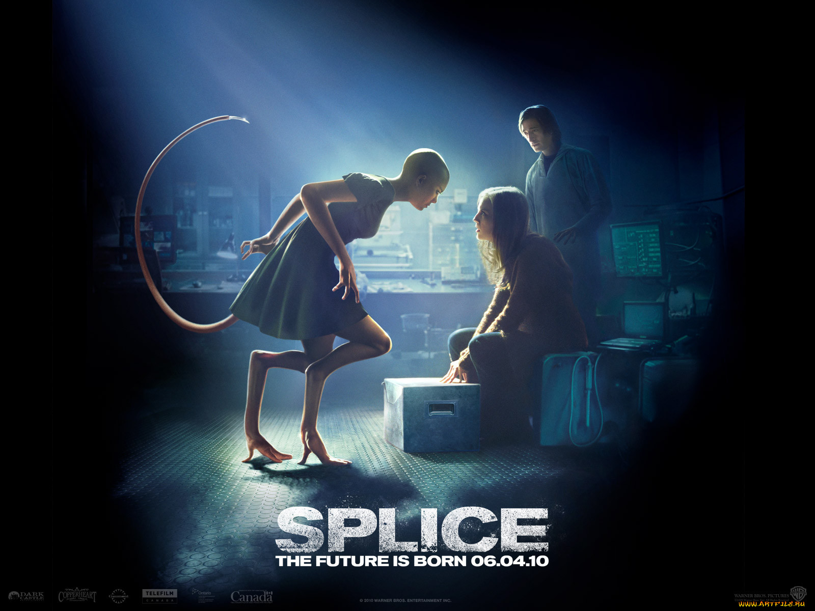 splice, , 